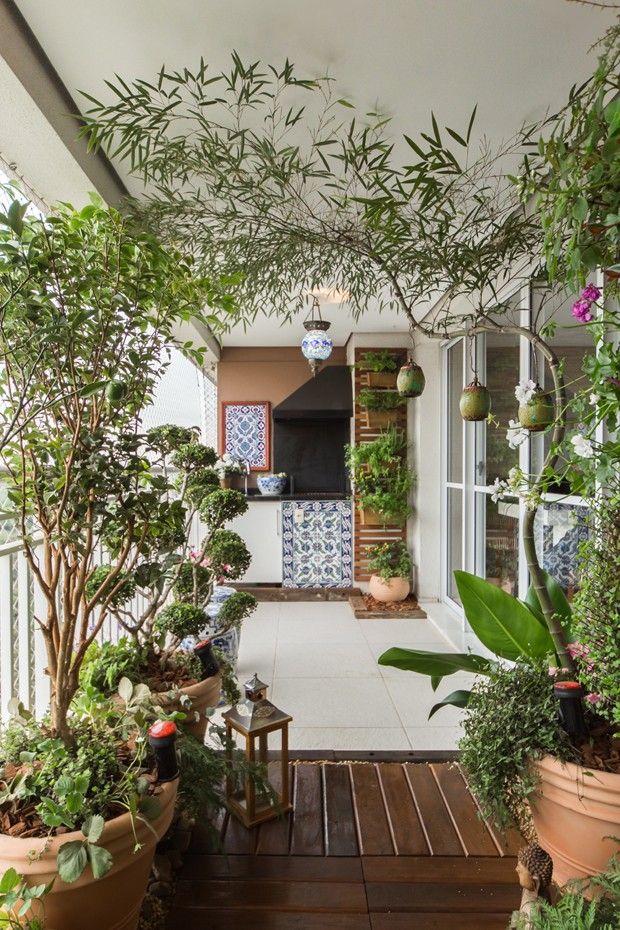 Зимний сад на балконе — способы и советы как превратить балкон в зимнюю оранжерею