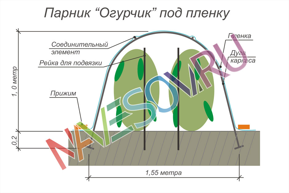 Схема парника для огурцов