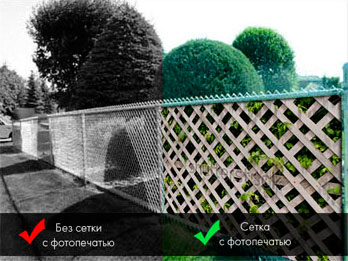 Красивый забор из сетки рабицы: способы преображения скучной ограды