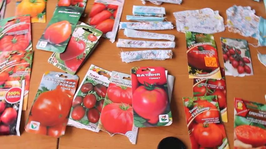 Какие семена помидор лучше сажать в теплице — 10 лучших сортов