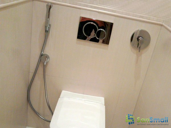 Гигиенический душ для унитаза со смесителем в туалете с термостатом, что это такое лейка интимный душ
