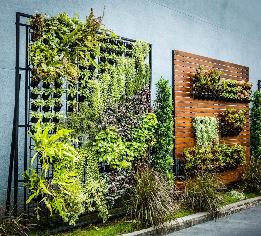 Вертикальное озеленение в ландшафтном дизайне: как сделать своими руками, какие растения подходят, фото