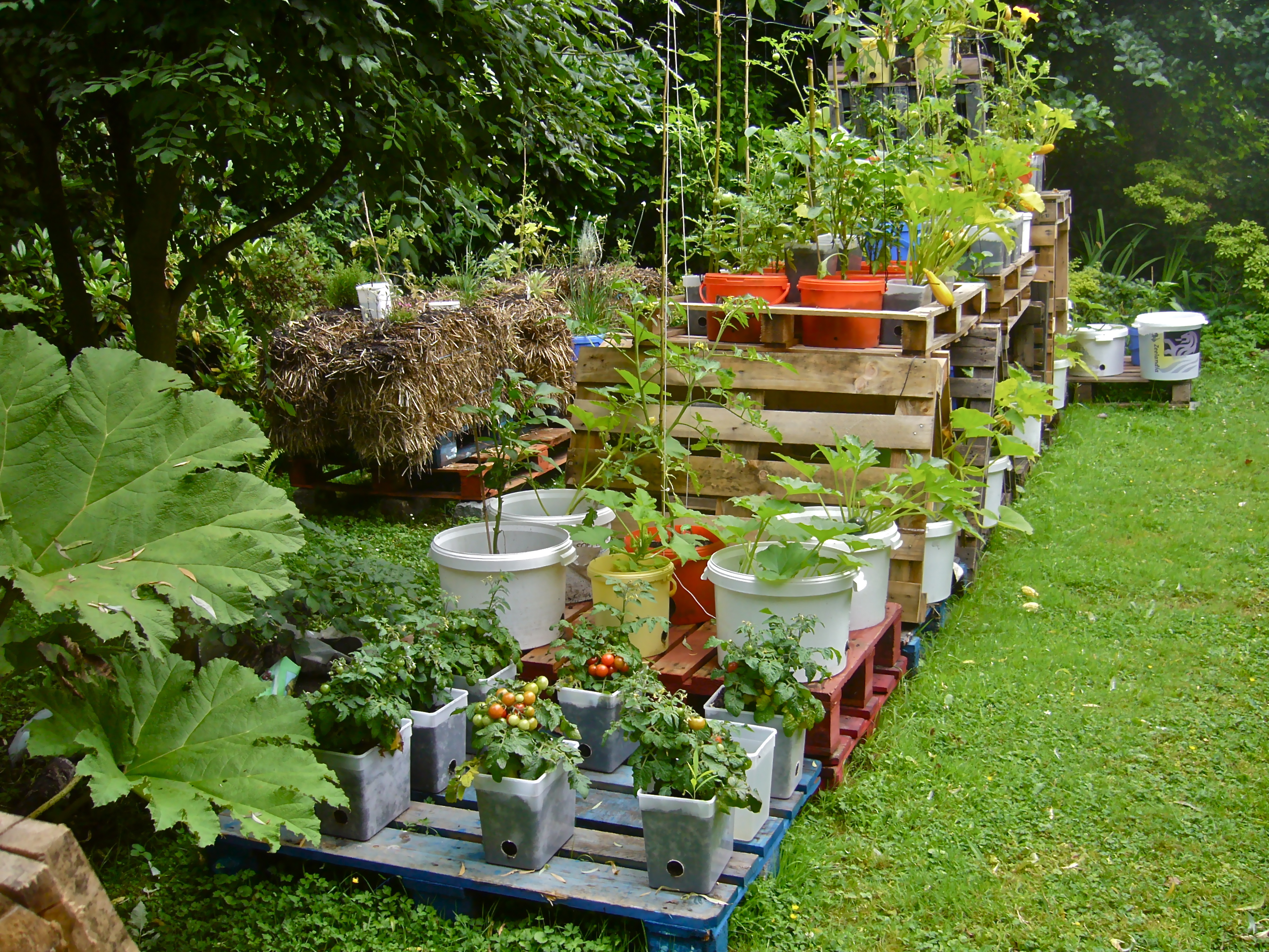 интерьер для сада и огорода
