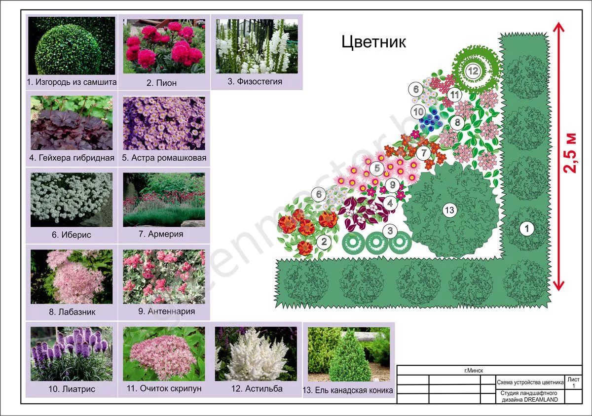 Схемы клумб из многолетников с описанием цветов - самоцветик
 - 21 августа
 - 43349380071 - медиаплатформа миртесен