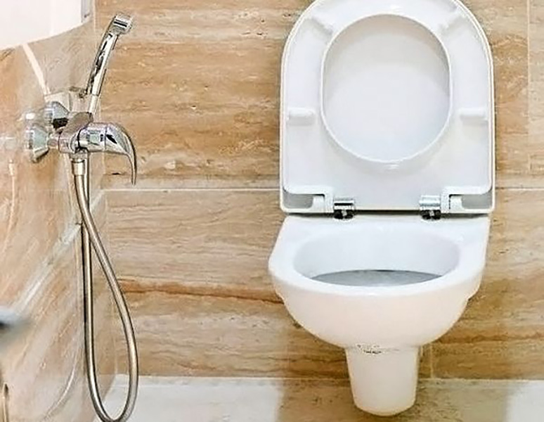 Гигиенические души в туалете: особенности установки и фото