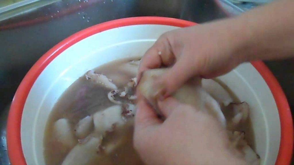 Как выбрать и почистить кальмара: разделка кальмара. кальмар: как чистить и готовить?