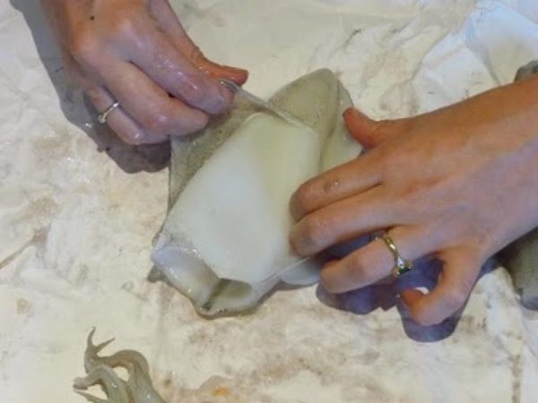 Как очистить кальмаров от пленки перед варкой