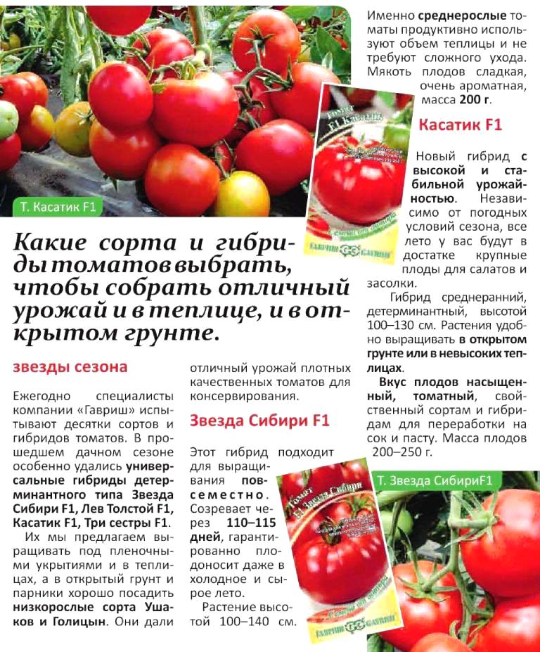 Самые урожайные сорта томатов для теплицы: ранние, лучшие, супер урожайные для подмосковья, сибири, урала