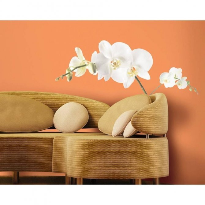 Обои с орхидеями для стен фото: в интерьере флизелиновые, элизиум на кухню, с 3д рисунком, дизайн