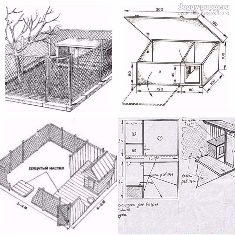 Вольер для немецкой овчарки во дворе частного дома размеры чертежи фото