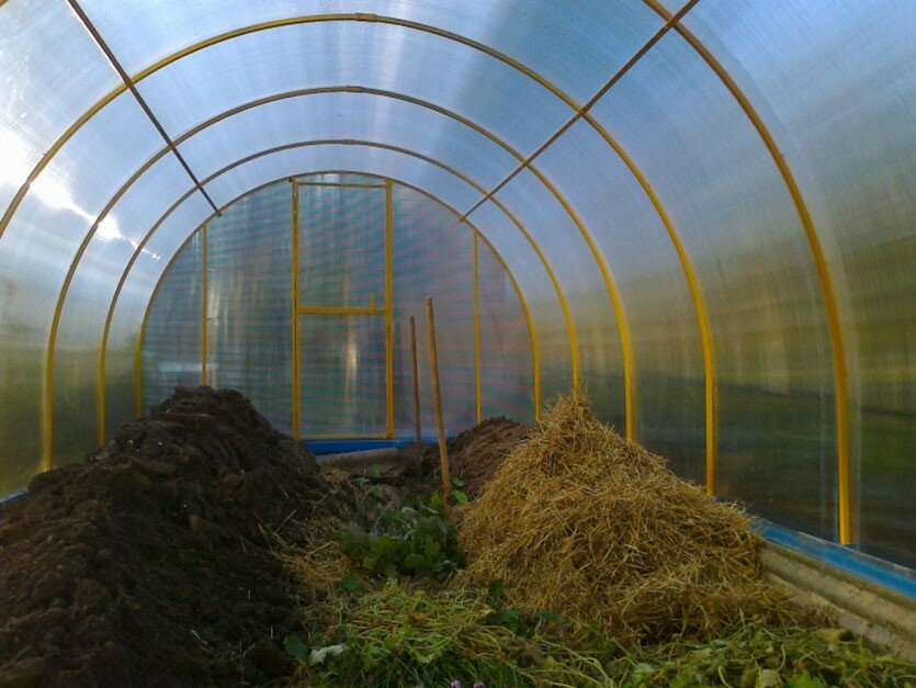 Топ-5 культур для раннего урожая в теплице: когда сеять и как выращивать первые овощи