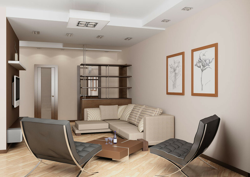 Дизайн проходной гостиной: как сделать комнату по-настоящему комфортной
