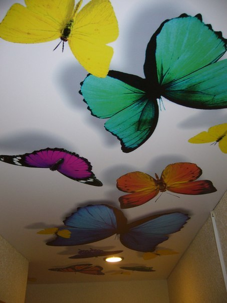 Натяжные потолки с фотопечатью: печать, рисунки, потолки с принтом, цветы на двухуровневом потолке