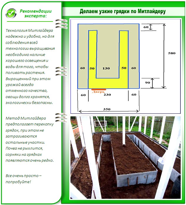 Схема грядок в теплице 3х6