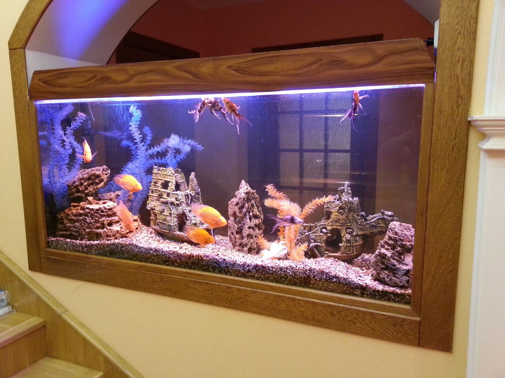 аквариумный дизайн фото пошагово в домашних условиях