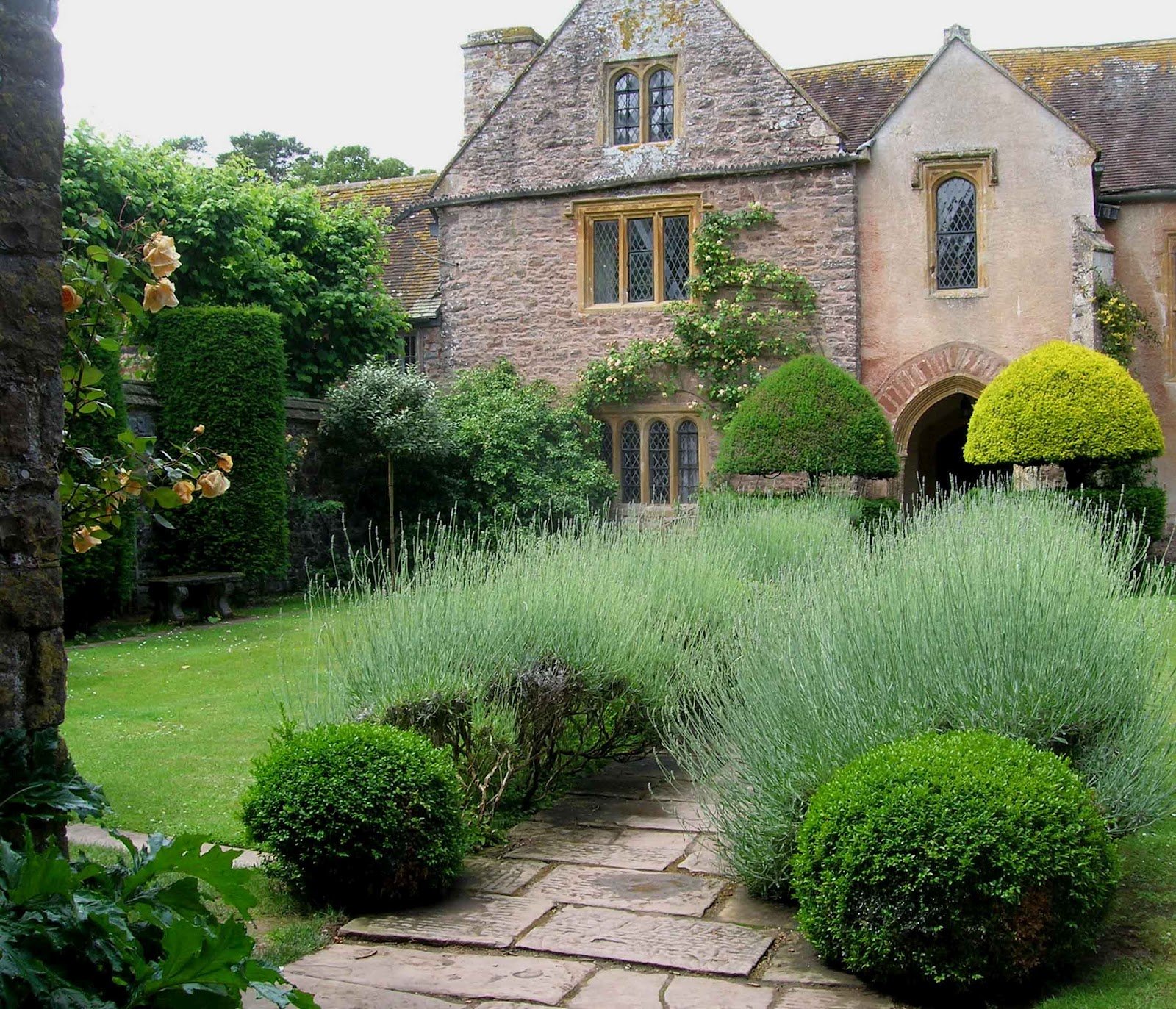 Английский сад в ландшафтном дизайне, фото, подбор растений