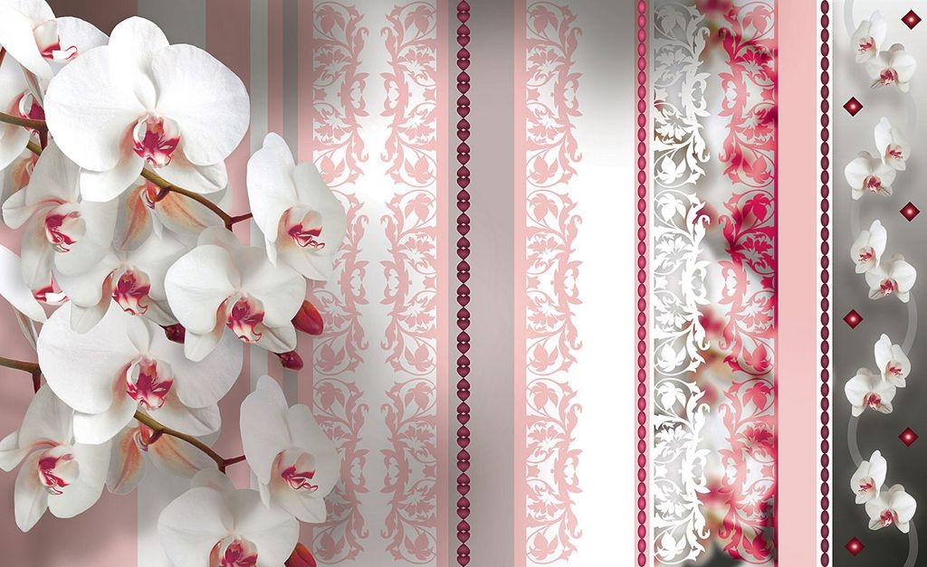 Орхидея – как правильно за ней ухаживать в домашних условиях? 88 фото по дизайну!