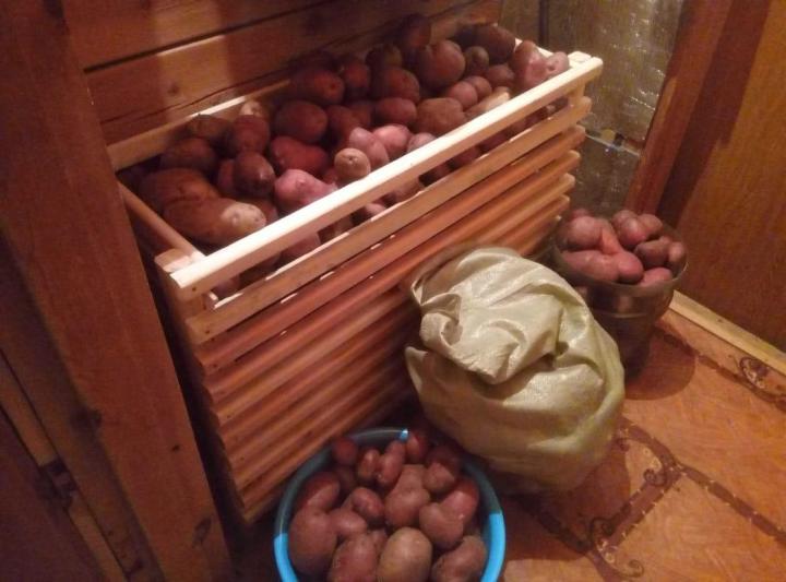 Как хранить зимой картошку на балконе, чтобы она не замерзла и не испортилась