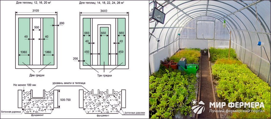 Как расположить грядки в теплице 3х4 из поликарбоната фото