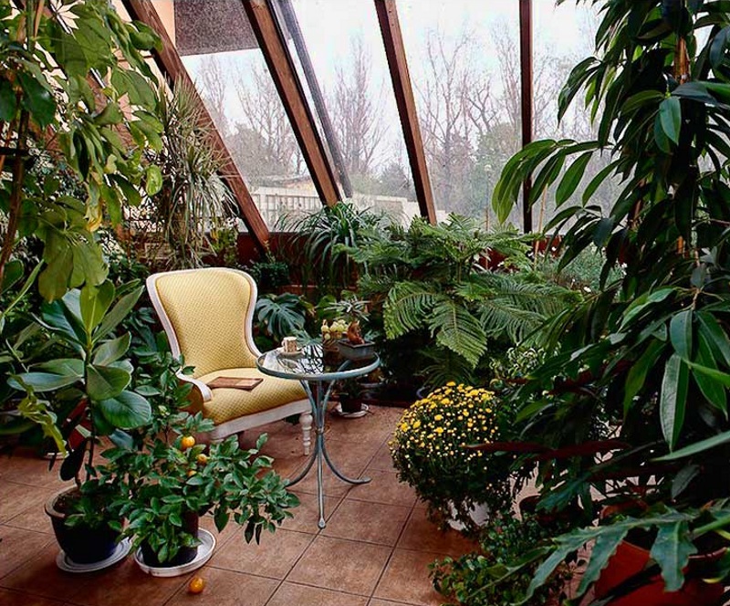 Зимний сад на балконе своими руками: всегда праздник в вашем доме