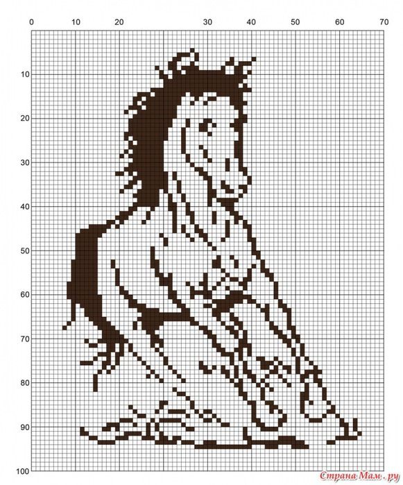 Вышивка крестом лошади: схемы и наборы, бесплатные, пони бегущие по воде, риолис для девушек.