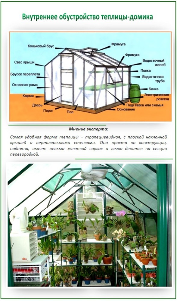 Теплица схема грядок