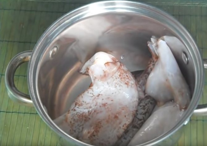 Как варить кальмары - подготовка и вкусные рецепты пошагово