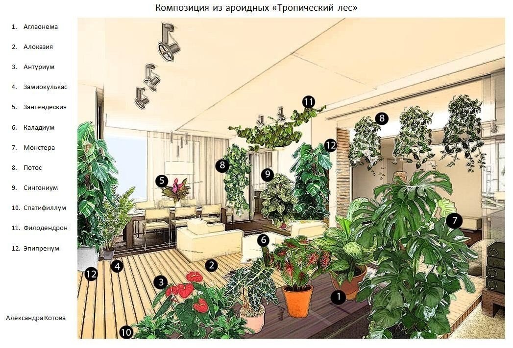 Комнатные растения в интерьере моего дома проект