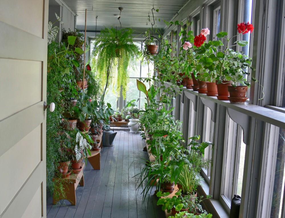 Обустройство зимнего сада на балконе: 3 интересные идеи