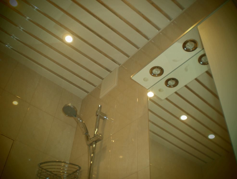 Реечный потолок: 100+ фото, примеры в кухне, ванной, туалете, балконе, прихожей, гостиной