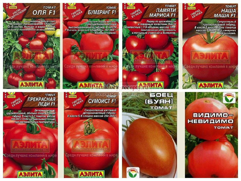 Лучшие сорта томатов для теплицы: 15 самых вкусных и урожайных, отзывы, рейтинг, как правильно выбрать помидоры для теплицы