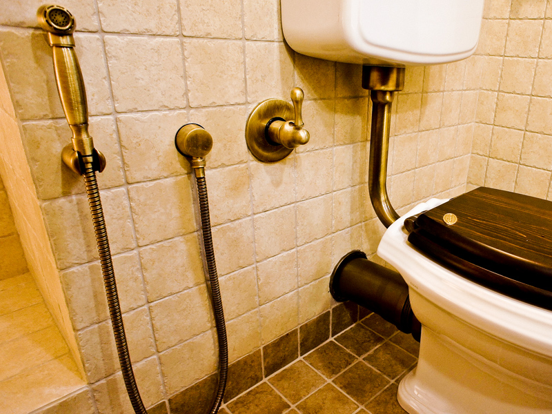 Какой выбрать гигиенический душ для ванной комнаты: топ-13 лучших гигиенических душей