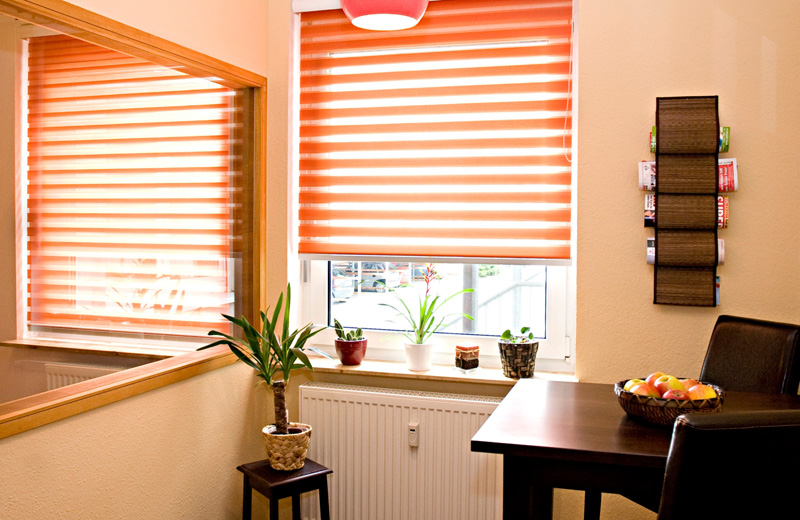 Римские шторы на кухню: 55+ фото в интерьере, современные идеи оформления окна