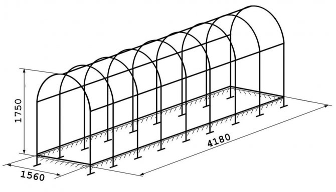 Размеры теплицы из поликарбоната: как рассчитать оптимальную длину и ширину