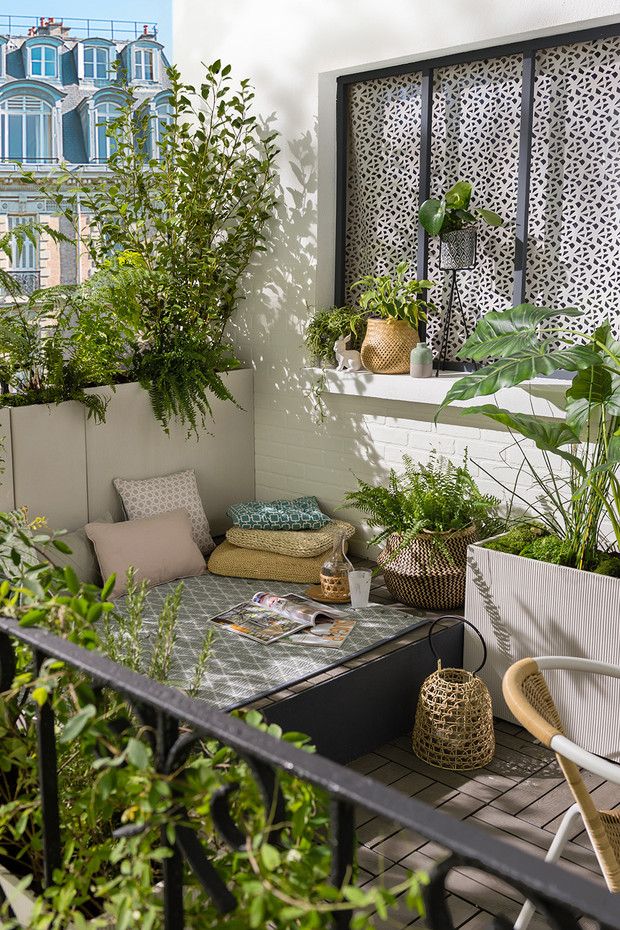 Оформление зимнего сада в квартире – зеленый сад на балконе круглый год