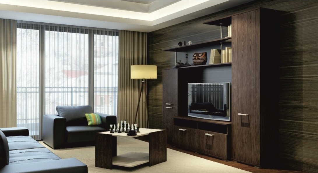 Мебель для зала: корпусная, стенка, диван и другие варианты, фото идей интерьера