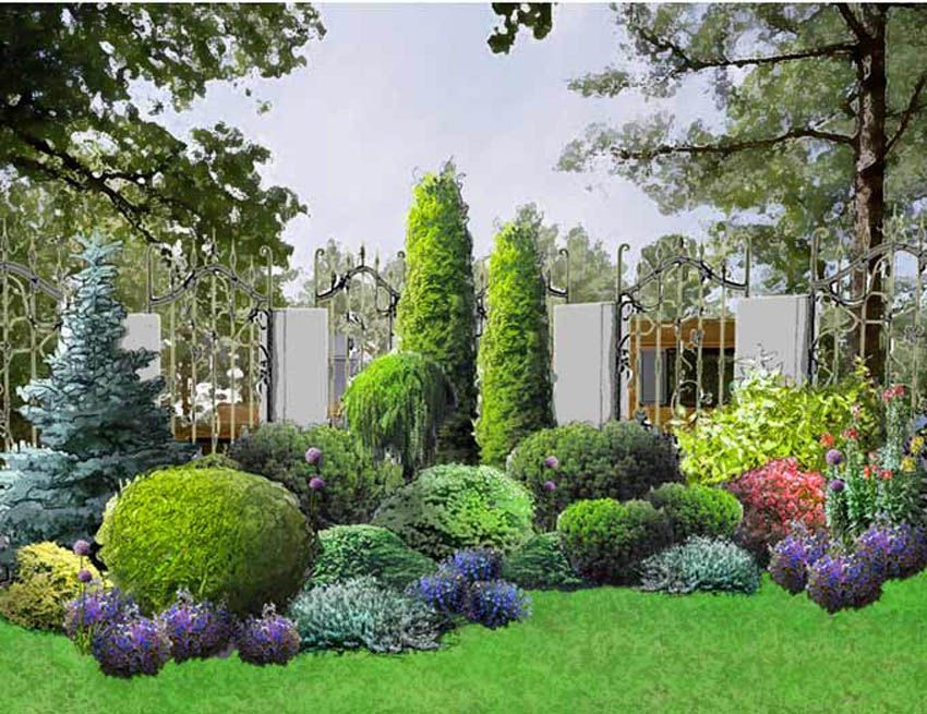 Используемые для озеленения растения — выбор и применение в дизайне садового ландшафта