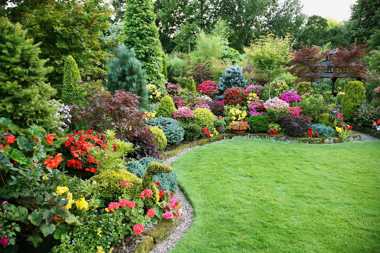 фото красивых кустарников для сада