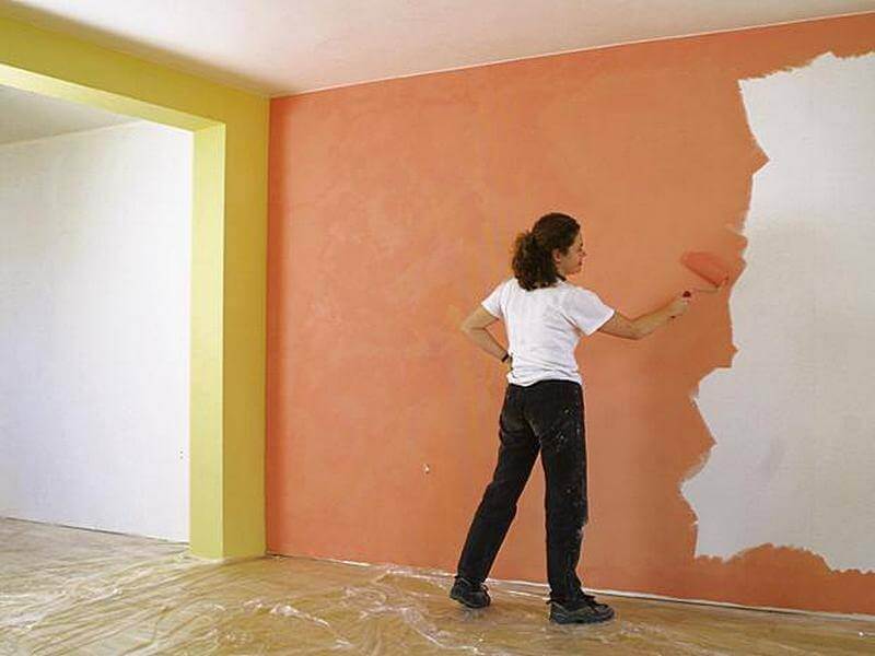 Краска для стен в квартире: обзор имеющихся видов, достоинства и недостатки, полезная информация для выбора (фото & видео) +отзывы