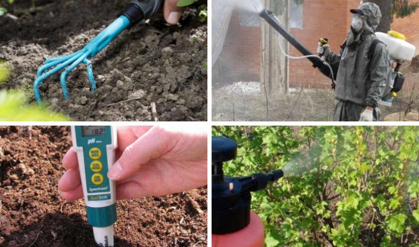 Правила применения медного купороса в садоводстве весной, летом и осенью, инструкция