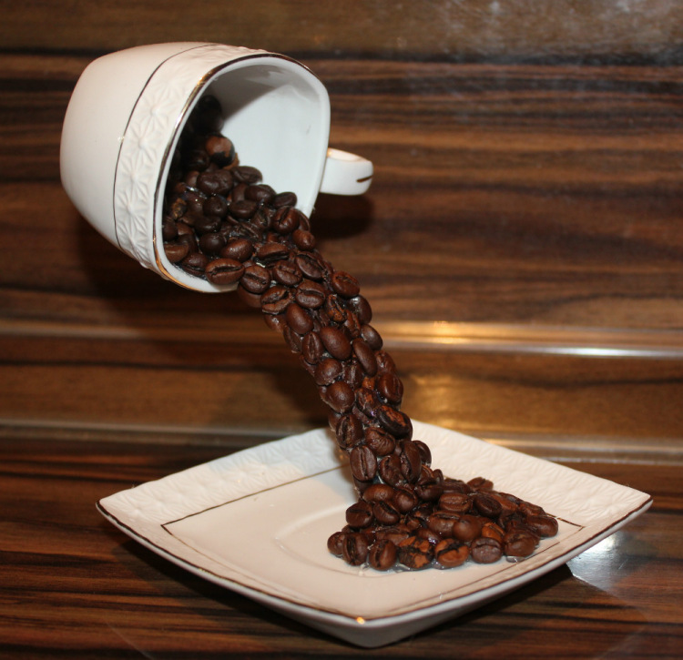 Как сделать топиарий из кофейных зерен