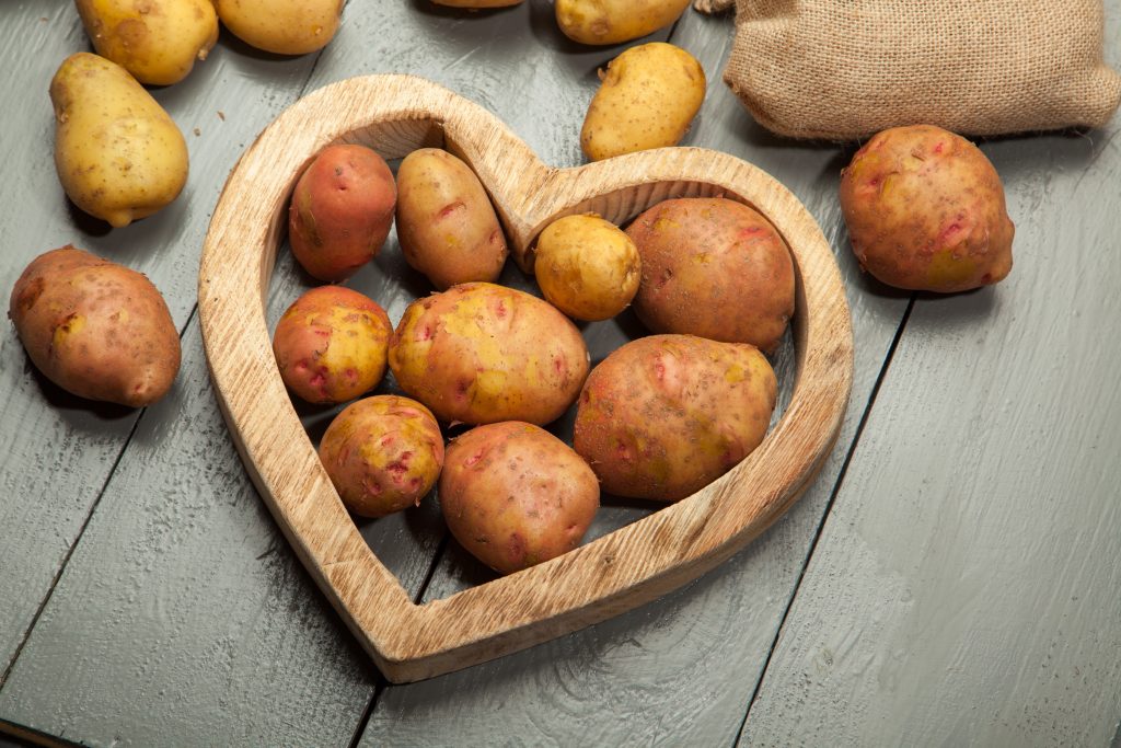 Продуктивный хозяин огородов — картофель барин: описание и характеристика сорта