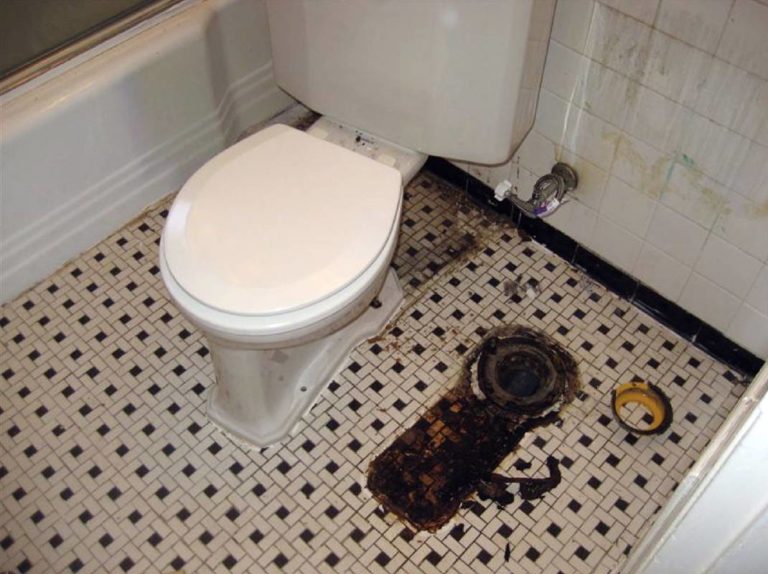 Почему пахнет канализацией в ванной комнате и туалете частного дома: причины возникновения неприятных запахов, способы их устранения