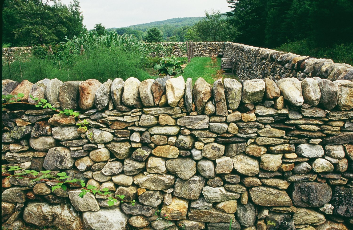 Как сделать каменный забор своими руками - пошаговая инструкция с фото и видео