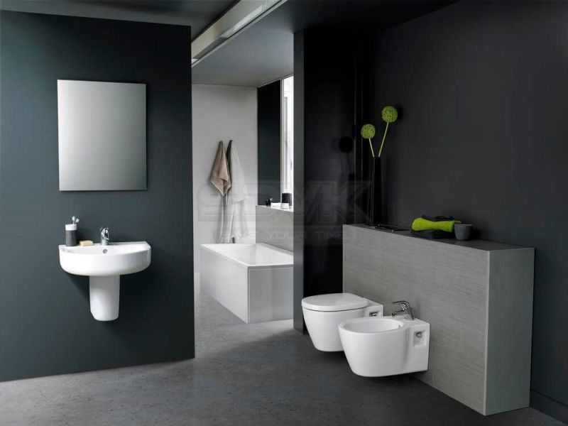 Инсталляция туалета: варианты дизайна в ванной комнате, подвесной унитаз с фото