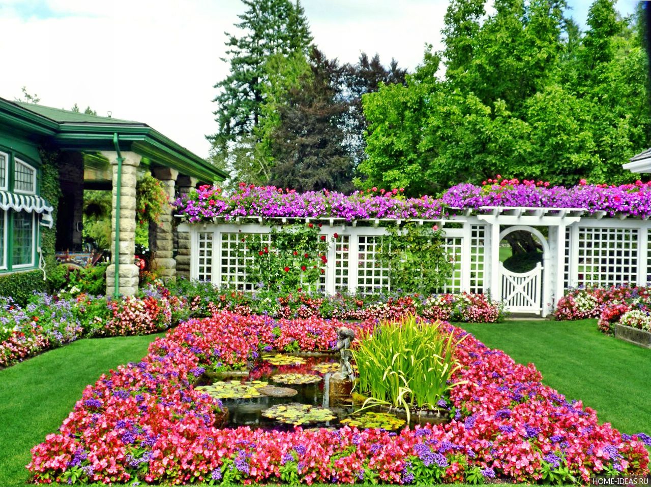 Цветы на даче и в саду на фото