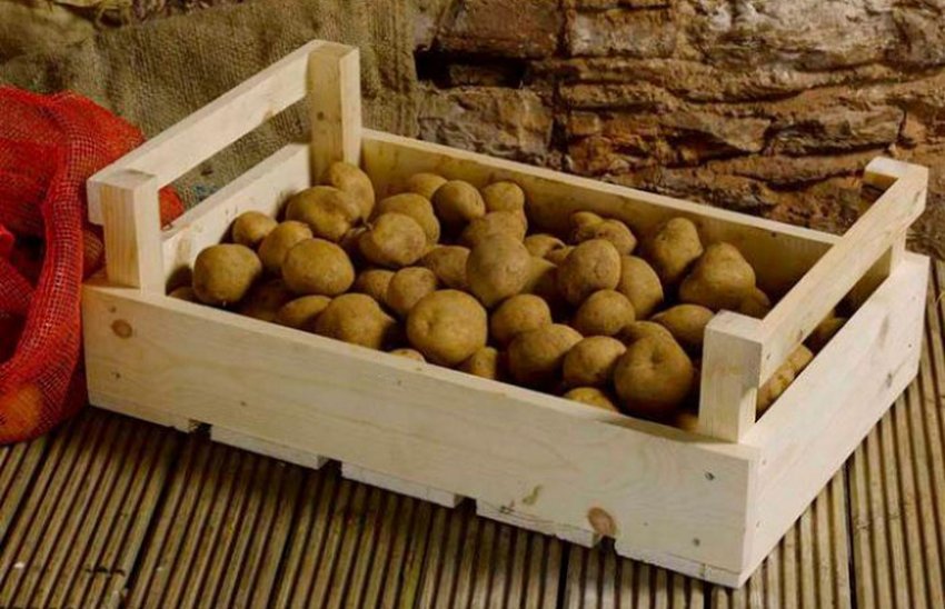 Как хранить картофель на балконе зимой, чтобы он сохранил свои полезные свойства