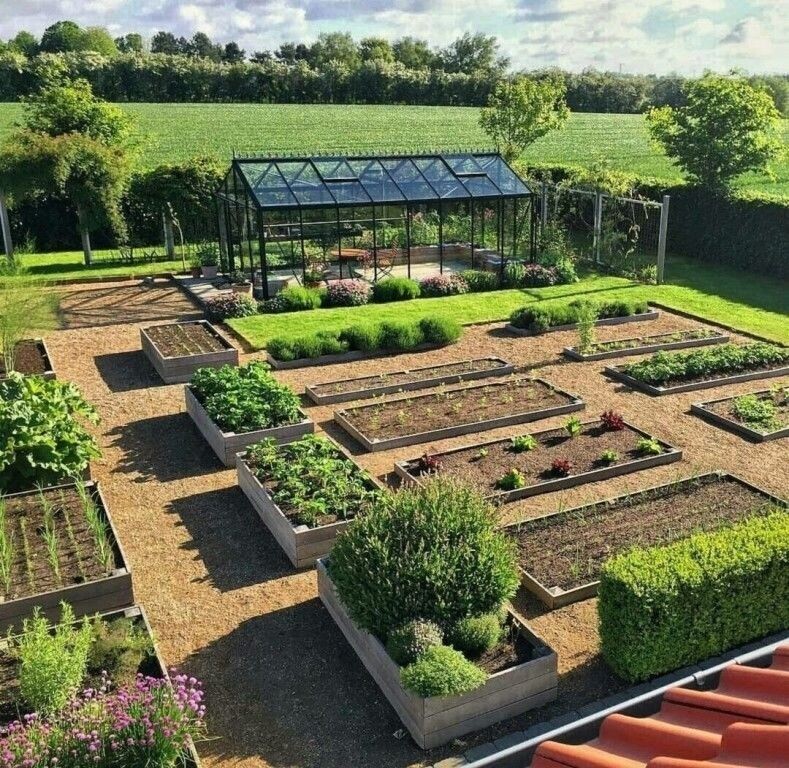 Дизайн огорода своими руками: оформление грядок в саду +75 фото