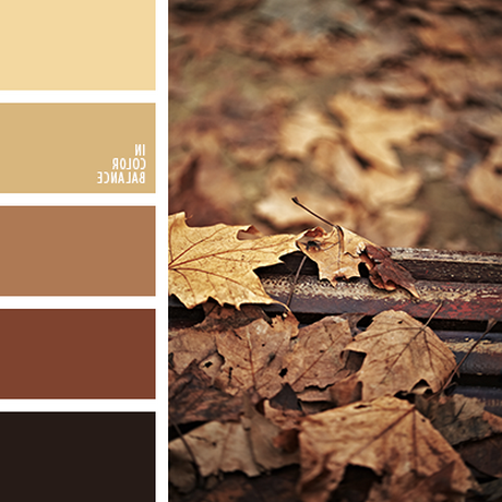 Коричневый цвет в интерьере: сочетания, оттенки коричневого, фото