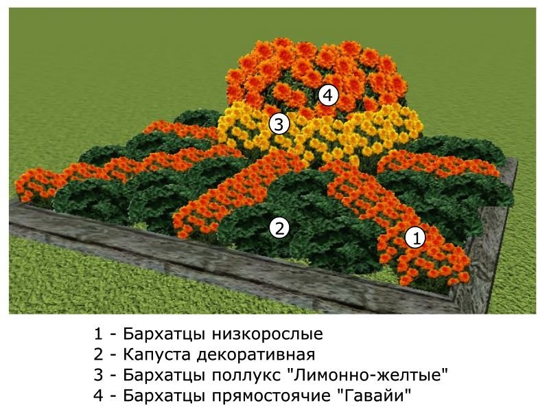 Ковровая клумба схема